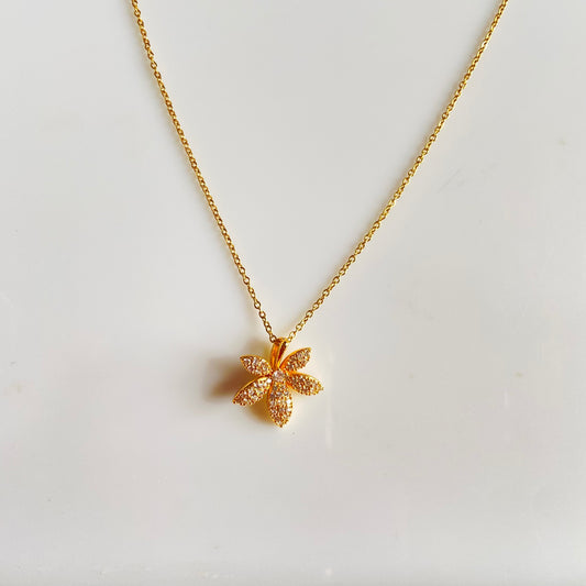 Shea Necklace - For Women